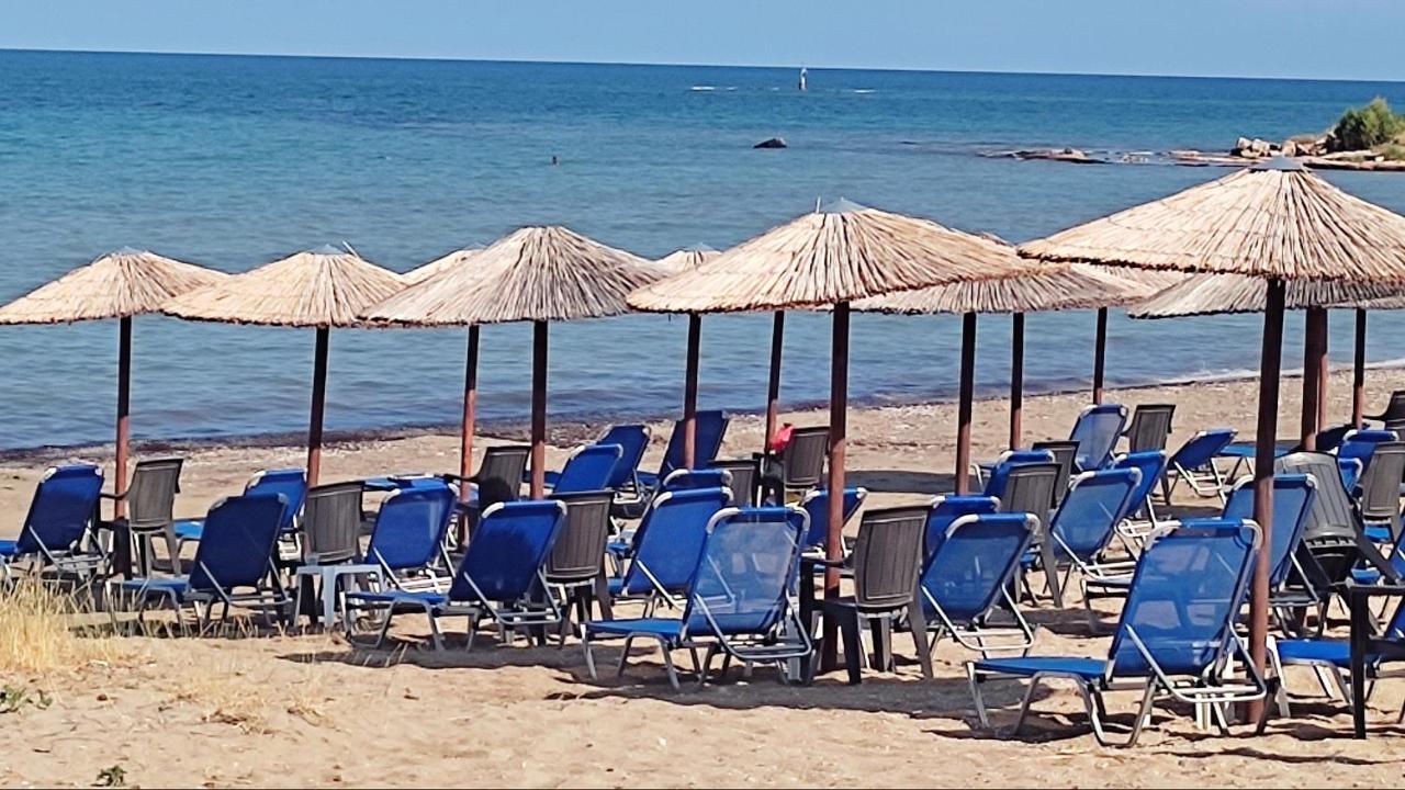 Appartamento Beautiful Choice - Near Athens Airport - 50M From The Sea - Iq+ Artemida  Esterno foto